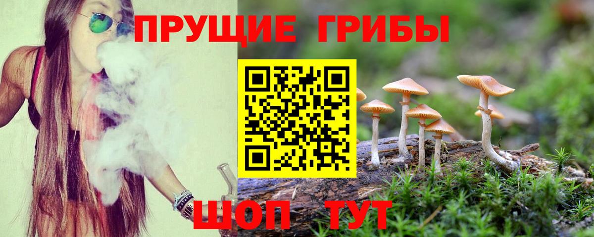 Галлюциногенные грибы ЛСД Ливны