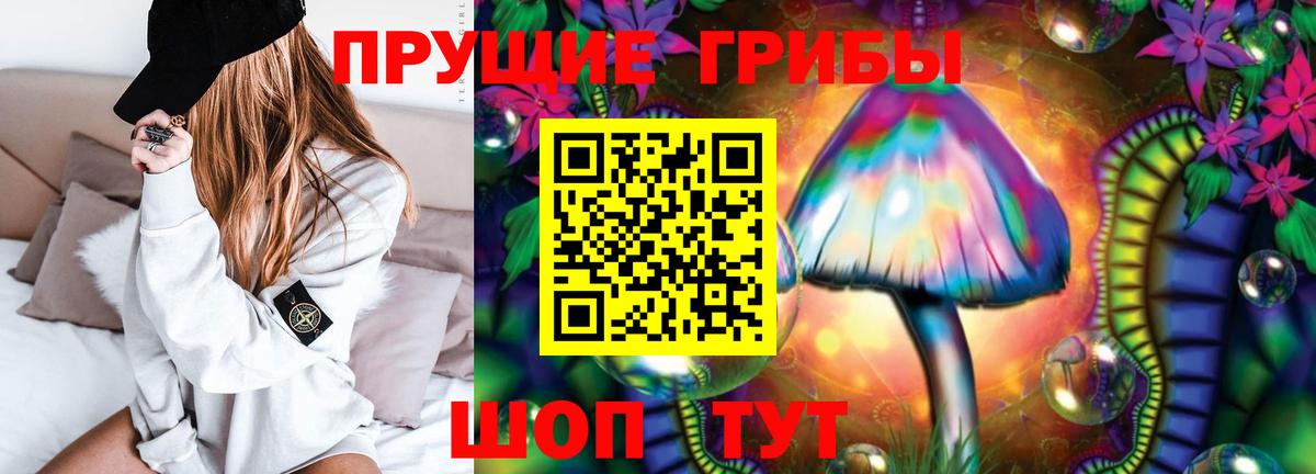 как найти   Галлюциногенные грибы Magic Shrooms  Вход с VPN  Псилоцибиновые грибы Psilocybe  Ливны 